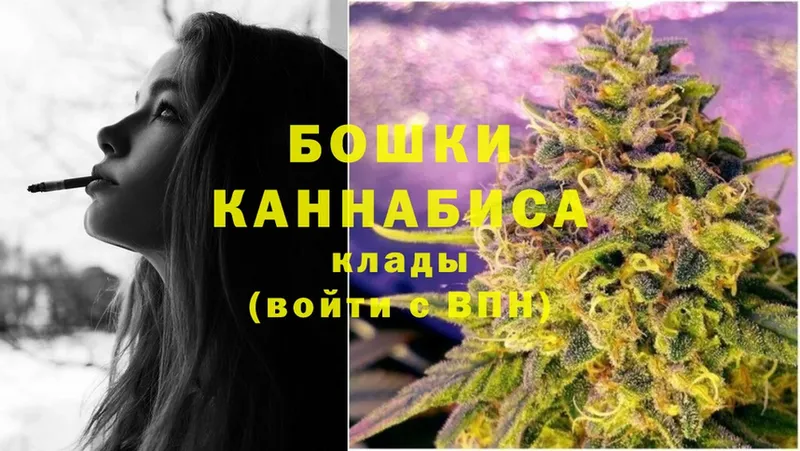 Бошки Шишки Amnesia  Родники 